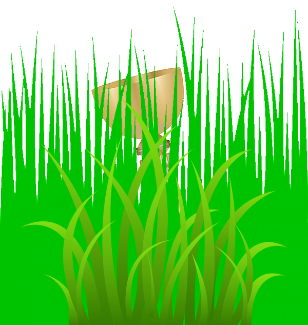 green-grass-clipart_1g